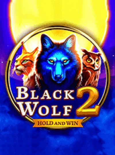 Video slot game cover